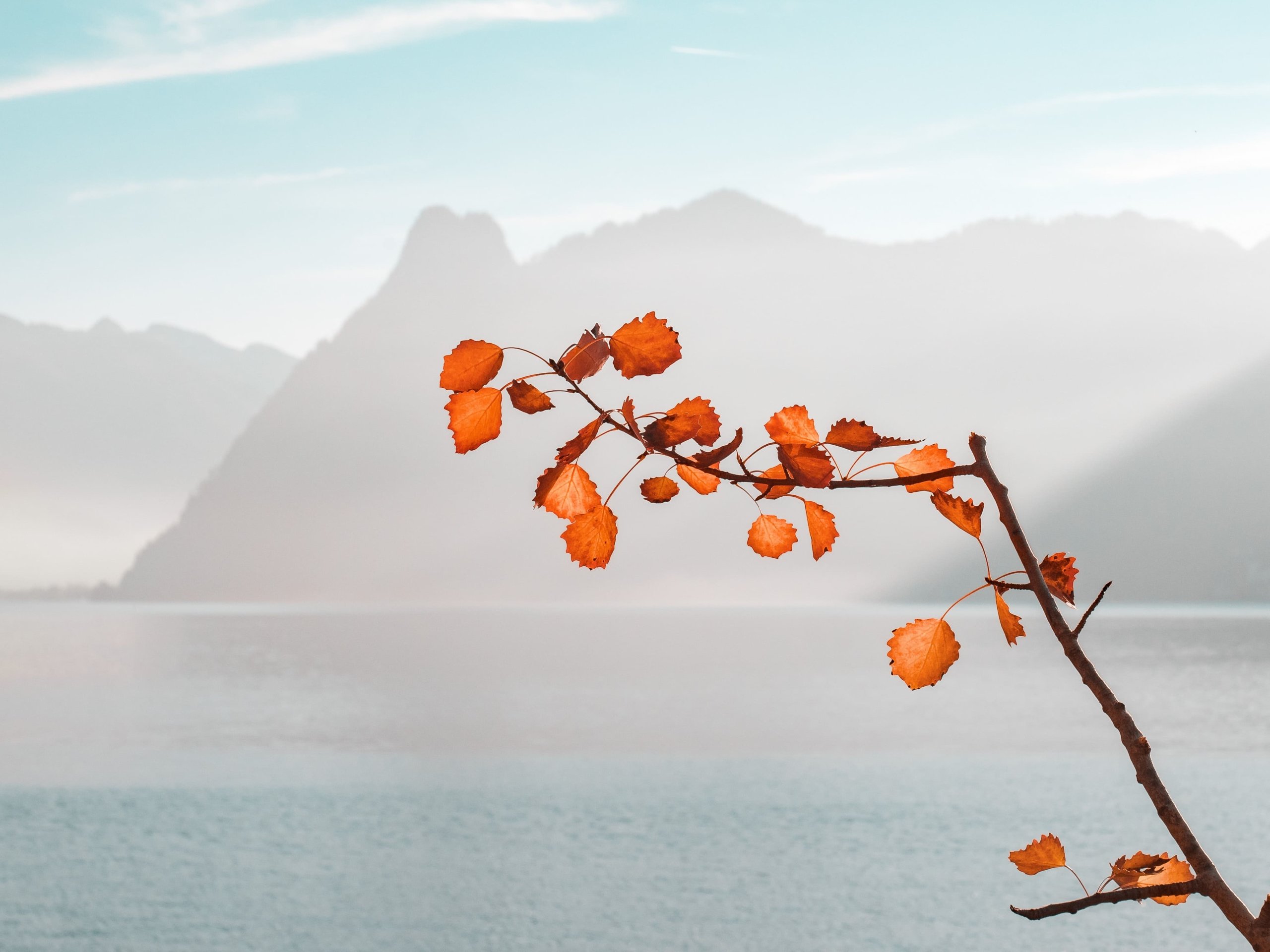 Fragen zur Meditation FAQ Meditation